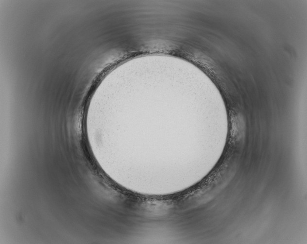 X0000112880632200910021354