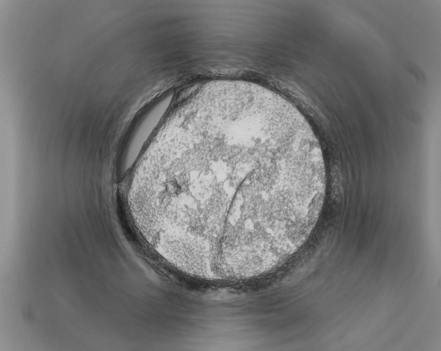 X0000112880634200910021354