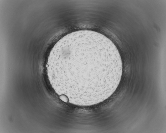 X0000112880635200910021354