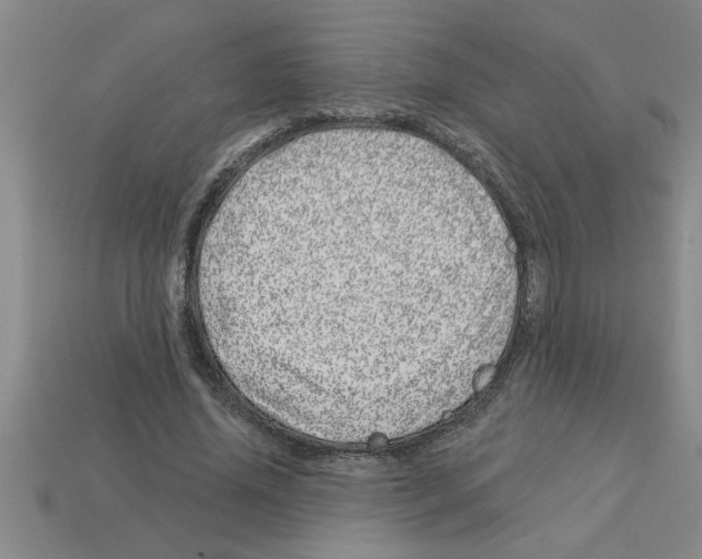 X0000112880636200910021354