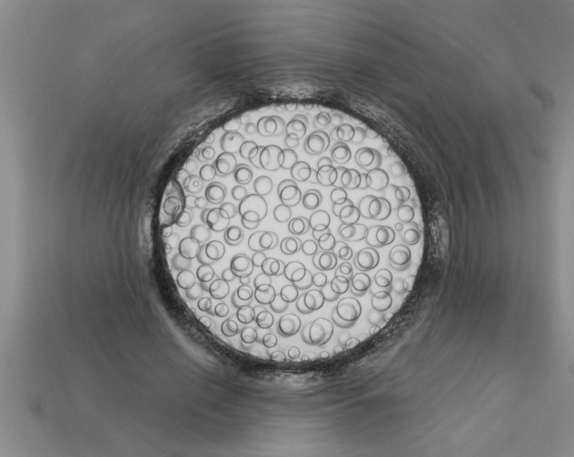 X0000112880638200910021354