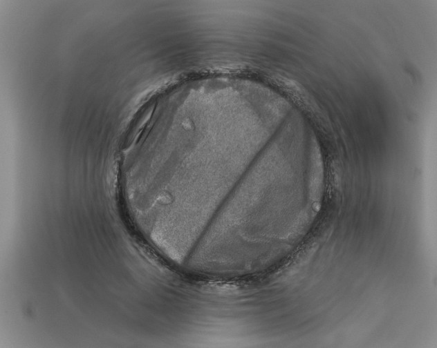 X0000112880640200910021354