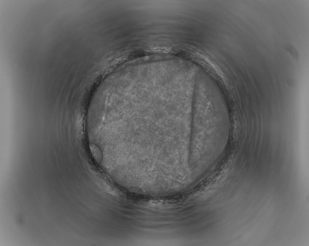 X0000112880641200910021354