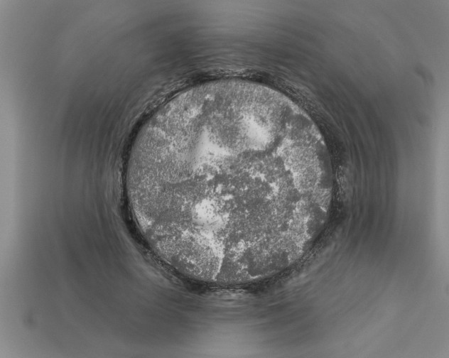 X0000112880642200910021354