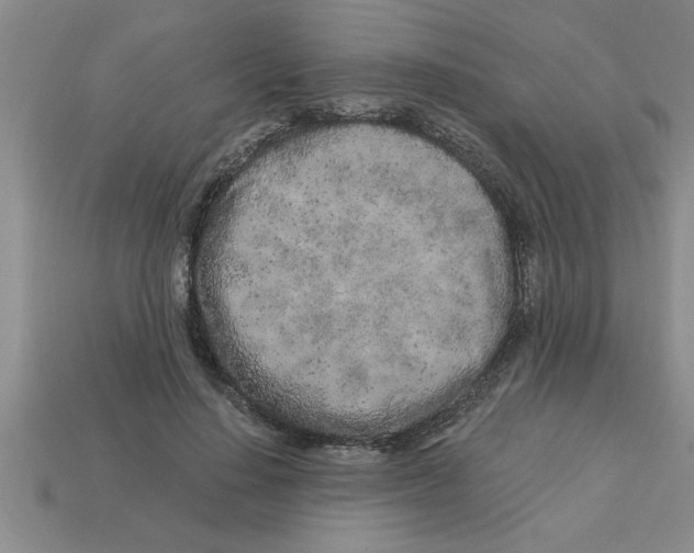 X0000112880644200910021354