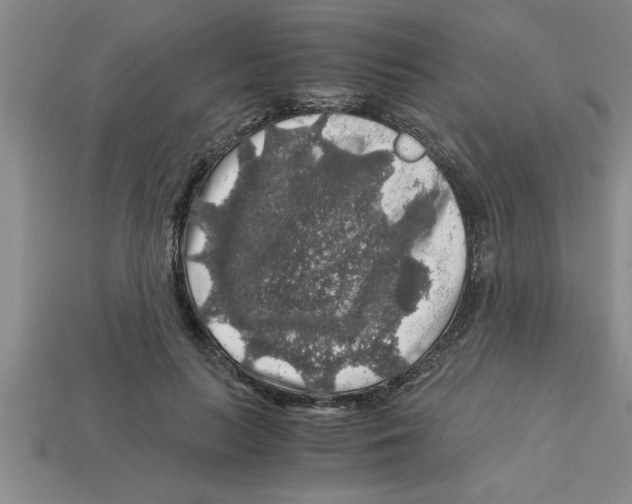 X0000112880647200910021354