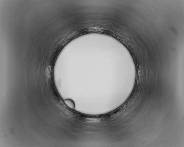 X0000112880649200910021354