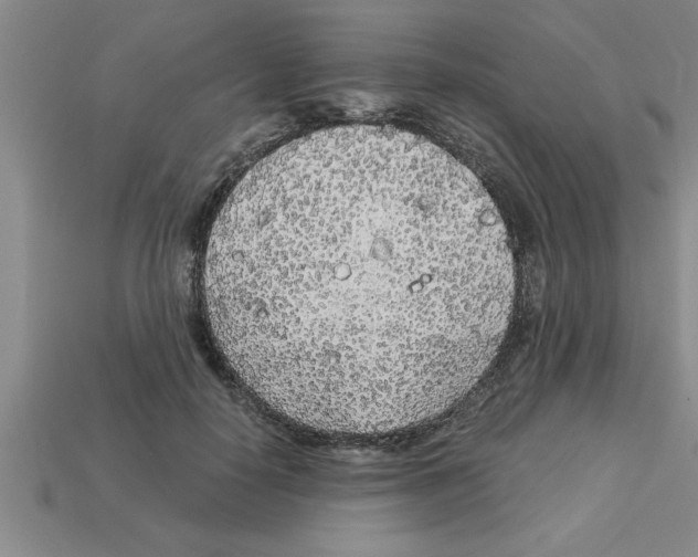 X0000112880650200910021354