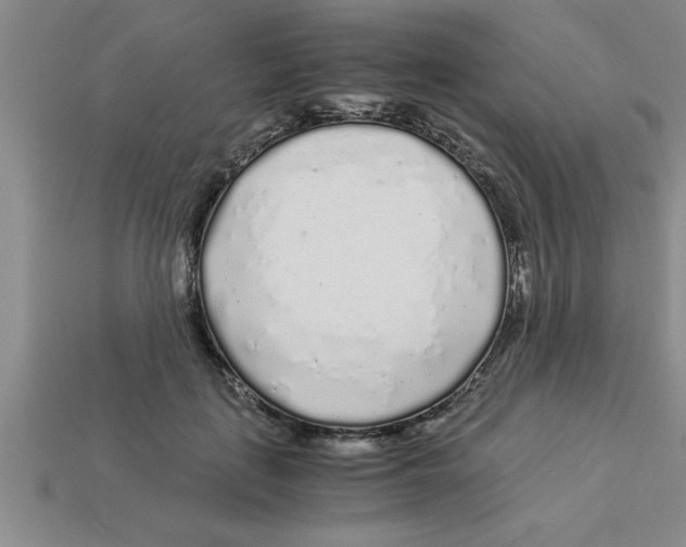 X0000112880651200910021354