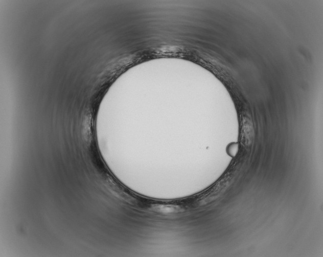 X0000112880654200910021354