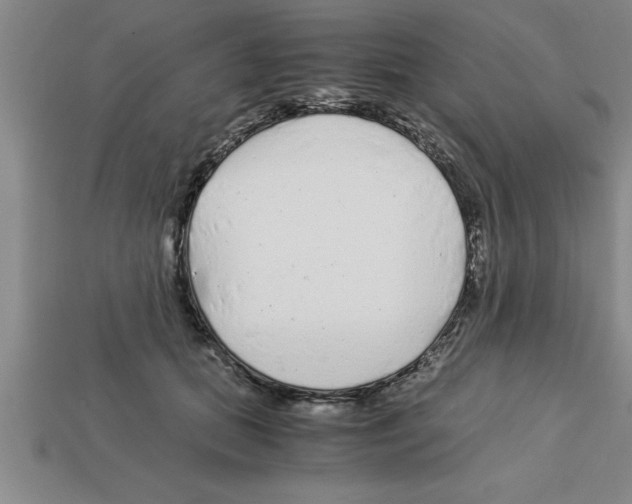 X0000112880655200910021354