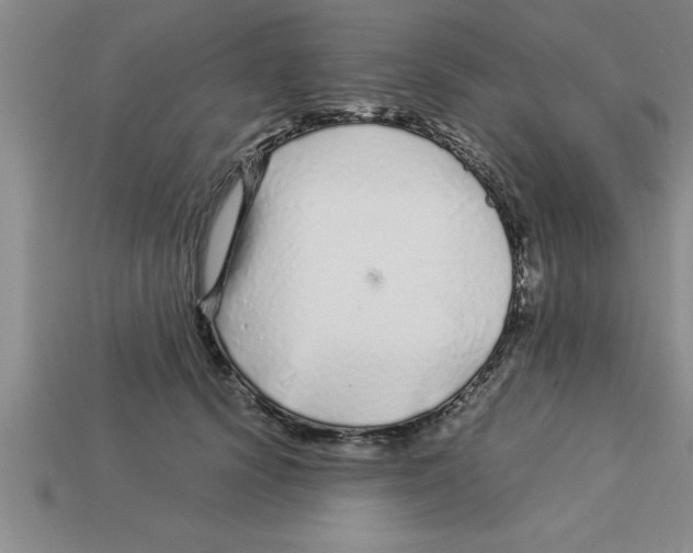 X0000112880656200910021354