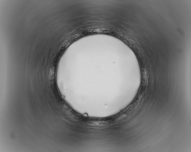 X0000112880657200910021354