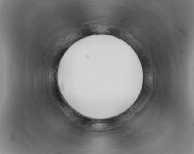 X0000112880658200910021354