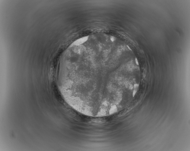 X0000112880659200910021354