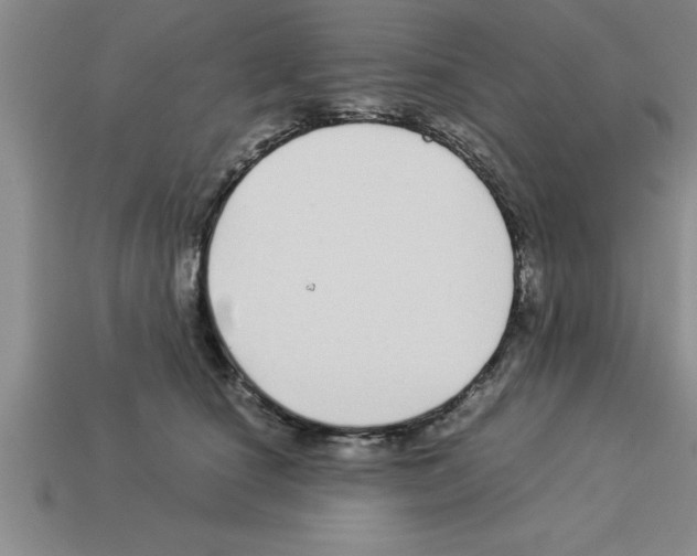 X0000112880660200910021354