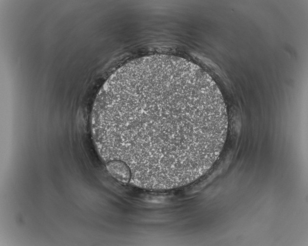 X0000112880661200910021354