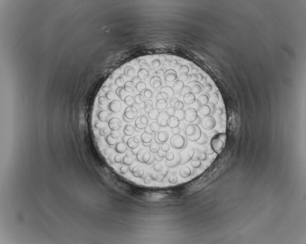 X0000112880662200910021354