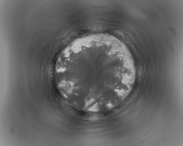 X0000112880663200910021354