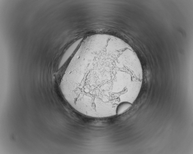 X0000112880664200910021354