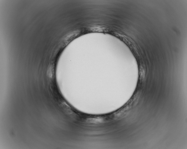 X0000112880665200910021354