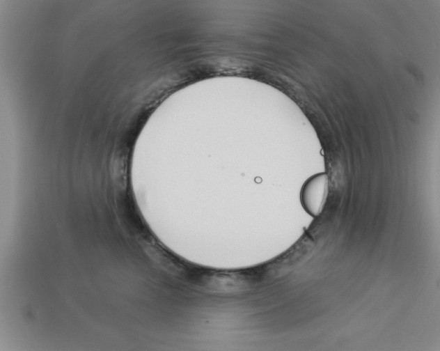 X0000112880666200910021354