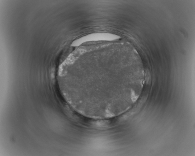 X0000112880670200910021354