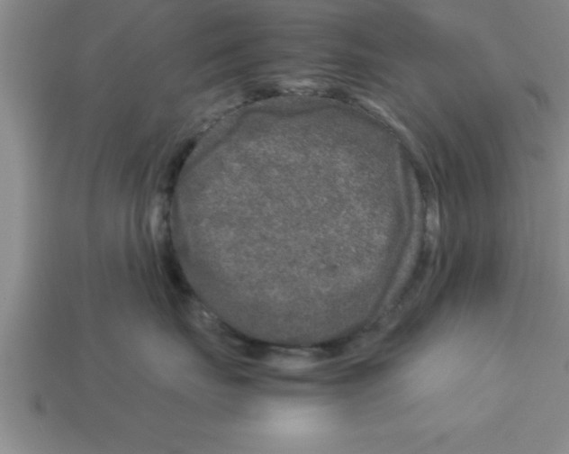 X0000112880671200910021354