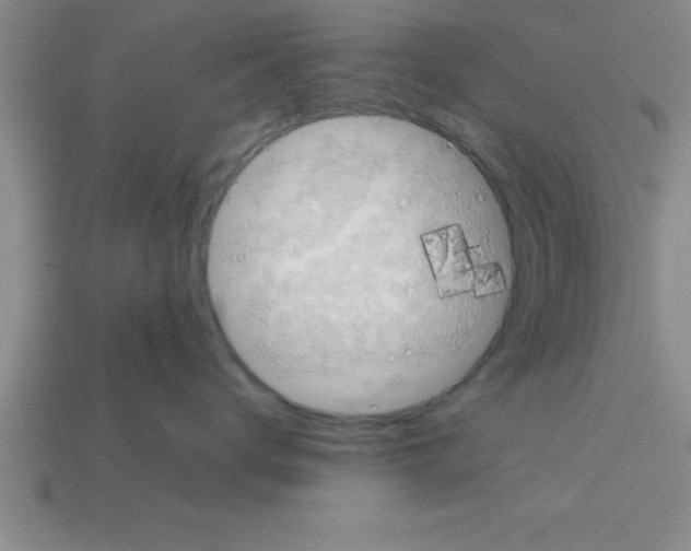 X0000112880672200910021354