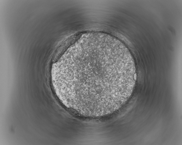 X0000112880673200910021354