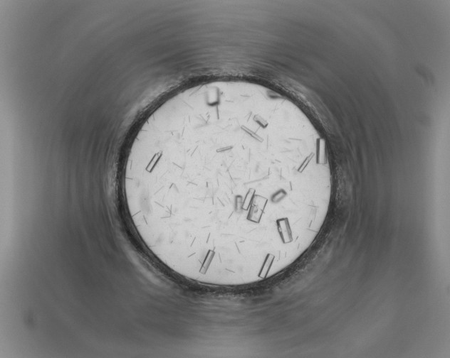 X0000112880677200910021354