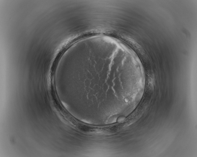 X0000112880678200910021353