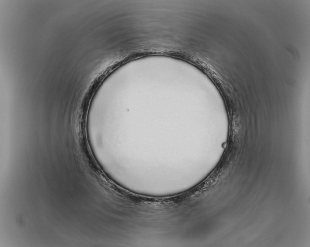 X0000112880679200910021353