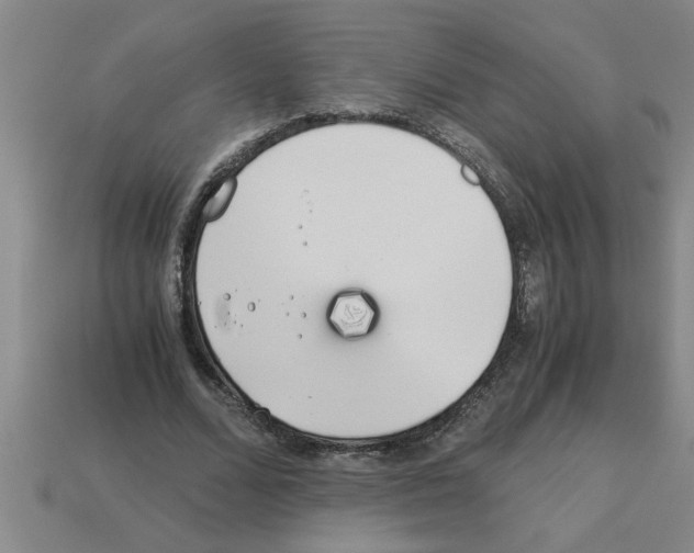 X0000112880680200910021353