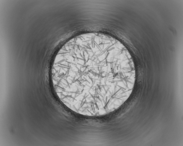 X0000112880681200910021353