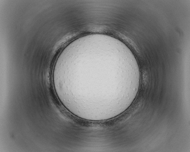 X0000112880682200910021353