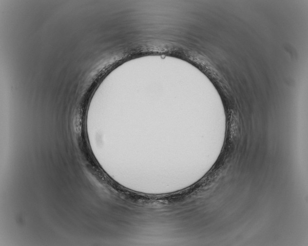 X0000112880683200910021353