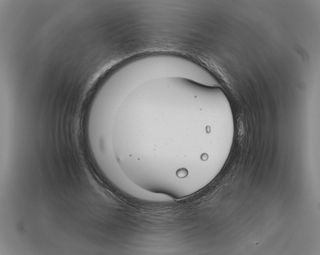 X0000112880684200910021353