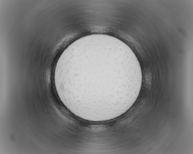 X0000112880686200910021353