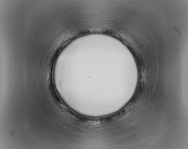 X0000112880687200910021353