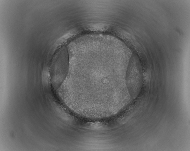 X0000112880688200910021353