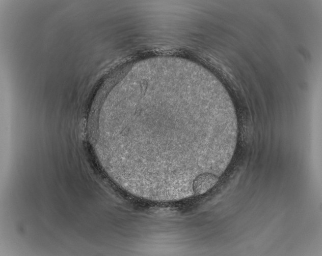 X0000112880689200910021353