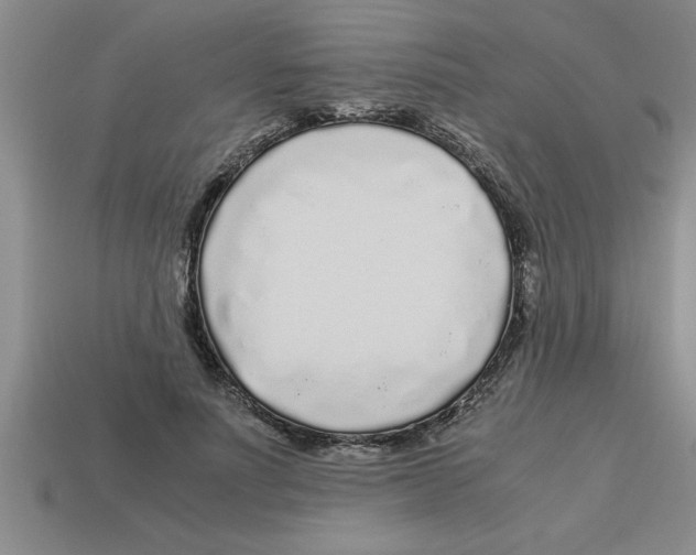 X0000112880691200910021353