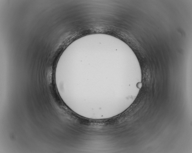 X0000112880694200910021353