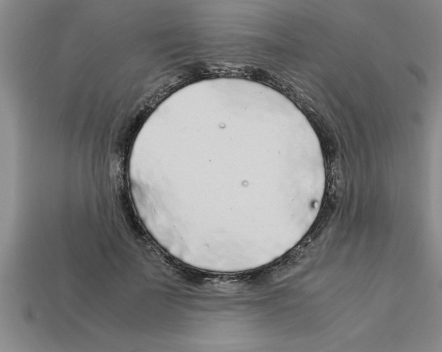 X0000112880699200910021353