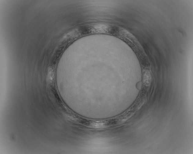 X0000112880701200910021353