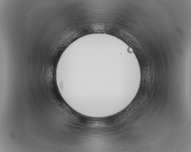 X0000112880702200910021353