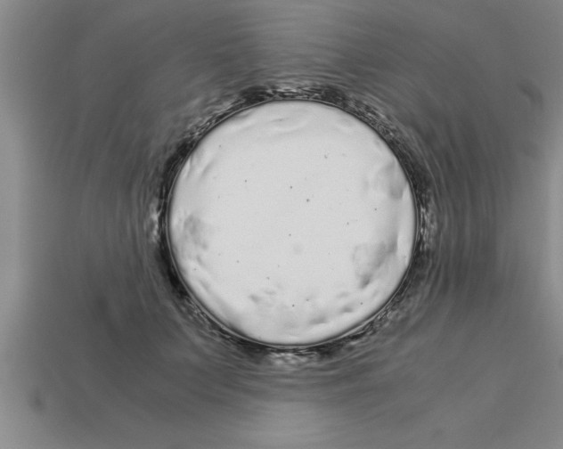 X0000112880703200910021353