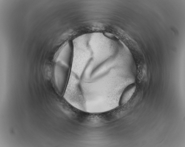 X0000112880704200910021353