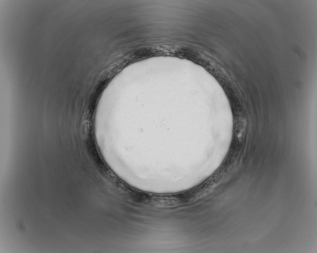 X0000112880707200910021353